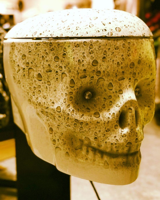 Skull Toilet